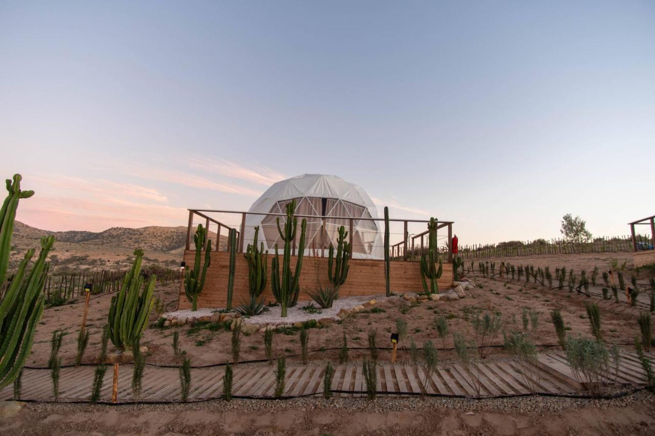 Hotel Timlalin Dome Tamri Exteriér fotografie