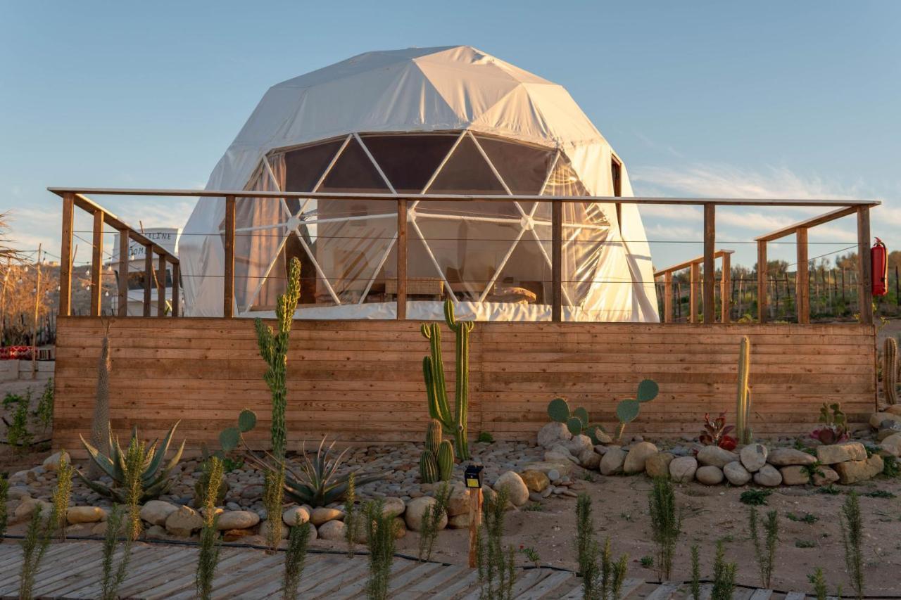 Hotel Timlalin Dome Tamri Exteriér fotografie