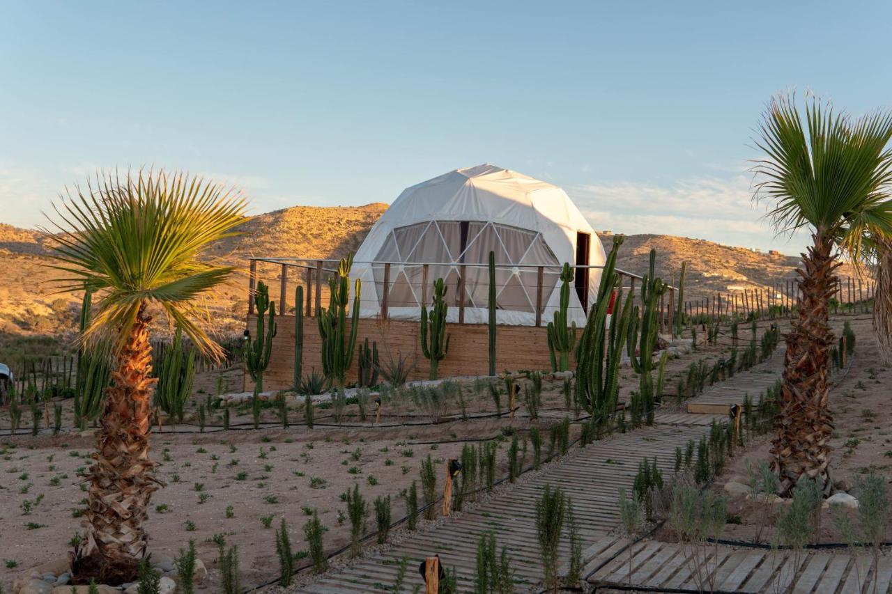 Hotel Timlalin Dome Tamri Exteriér fotografie